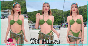 Pairwa-96